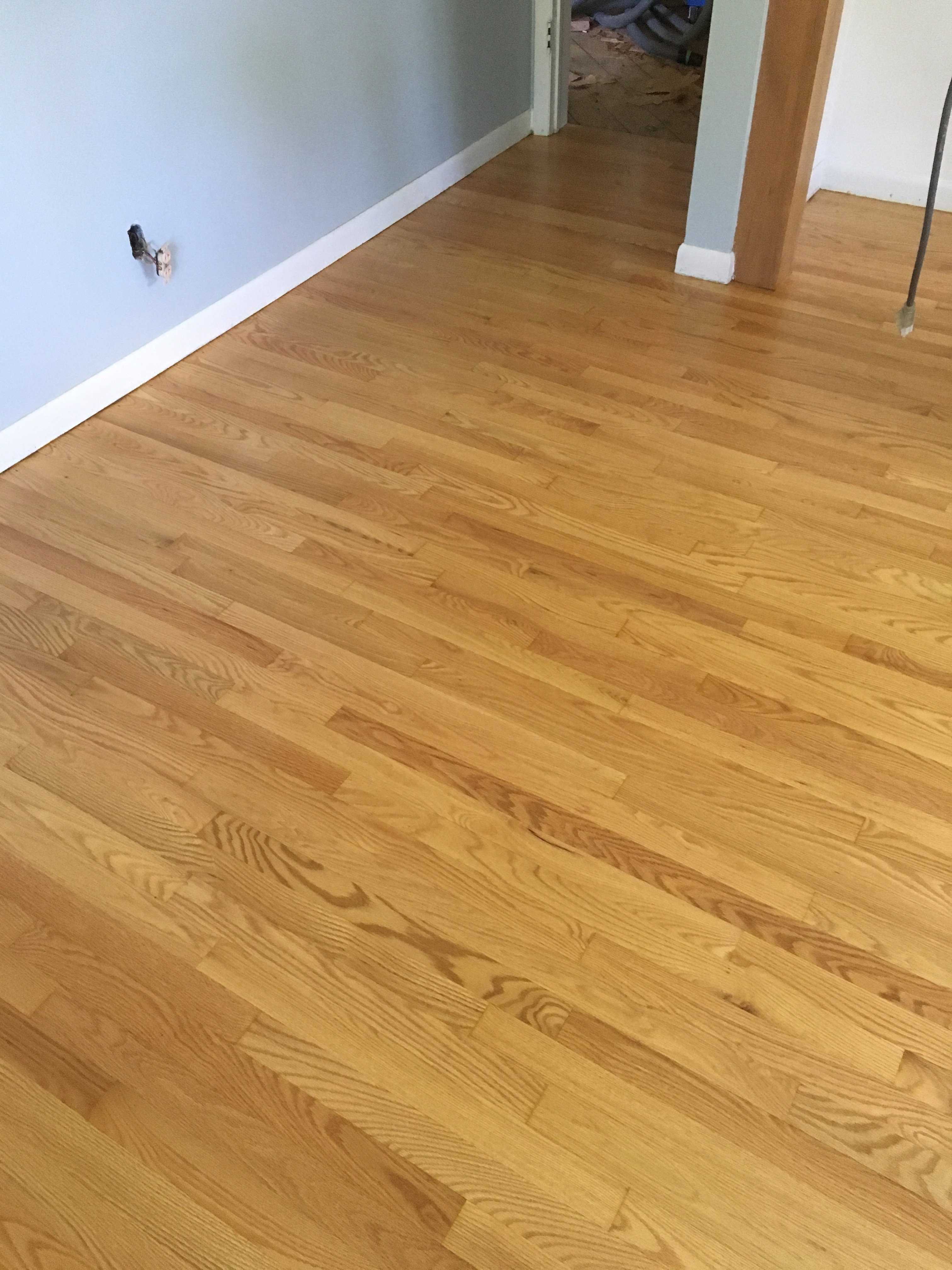 Natural oil polyurethane on red oak Forest Floors of Holland Inc.